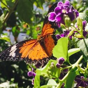 Meet your Posher, Pam